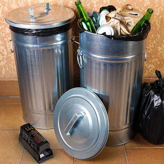 PestZilla Electronic Rat Trap