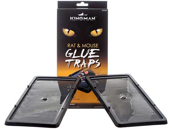 Rat Glue Trap