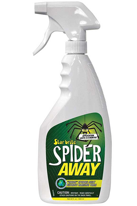 How to Get Rid of Wolf Spiders Tips from an Exterminator