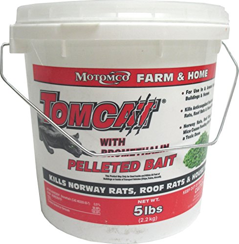 12 Best Rat Poisons in 2022 - According to an Exterminator