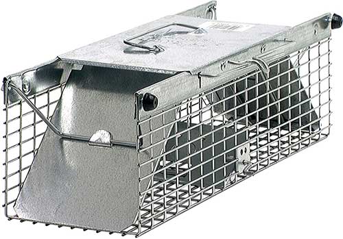 havahart 1025 small live animal trap for voles