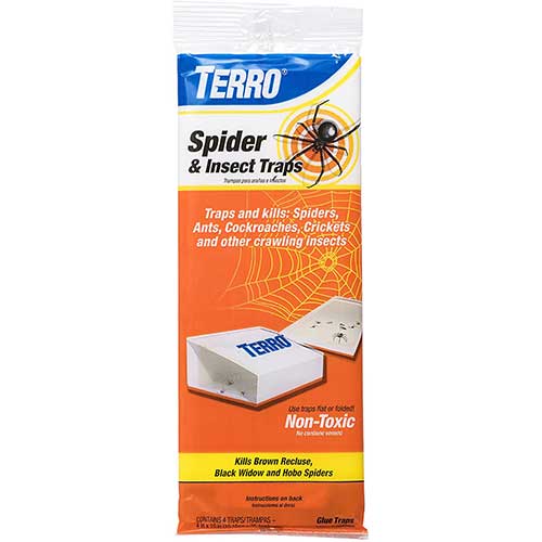 terro spider and insect trap for silverfish