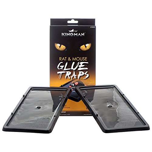 KINGMAN Mouse Trap Rat Trap Glue Trap
