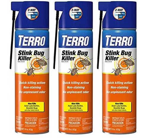 Terro Stink Bug Killer Aerosol Spray