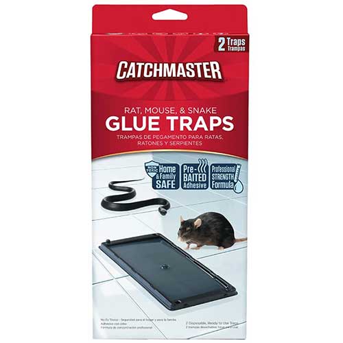 catchmaster baited rat glue trap