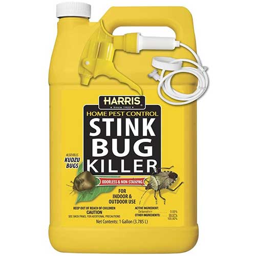 harris stink bug killer spray