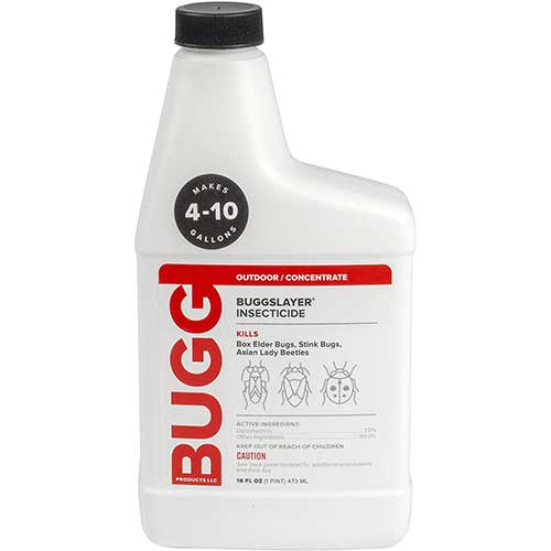 insecticide for stink bugs