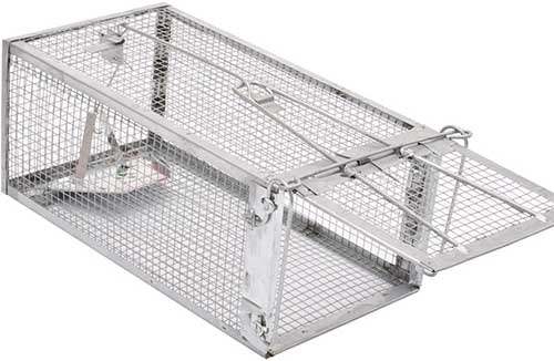 kensizer live rat trap cage