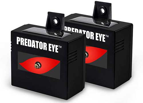 Predator Eye Nighttime Solar Powered Skunk and Animal Repeller