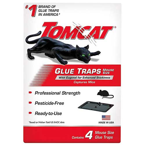 tomcat mouse glue trap to get rid of mice