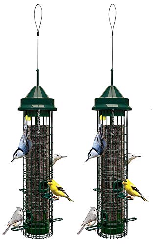 Squirrel Buster Classic