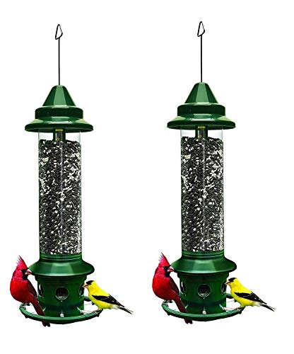 Squirrel Buster Plus
