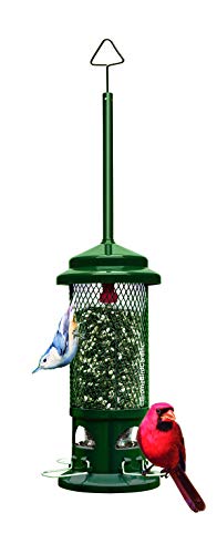 Squirrel Buster Standard