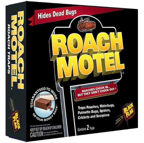 roach motel to determine if cockroaches are around