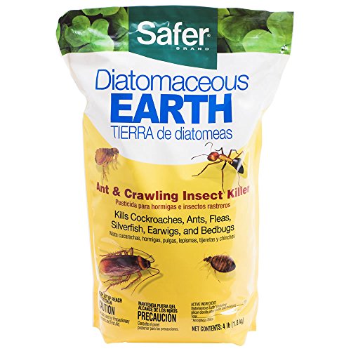 Safer Diatomaceous Earth Ant