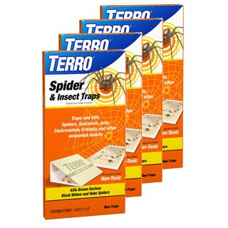 Terro 3200 spider trap