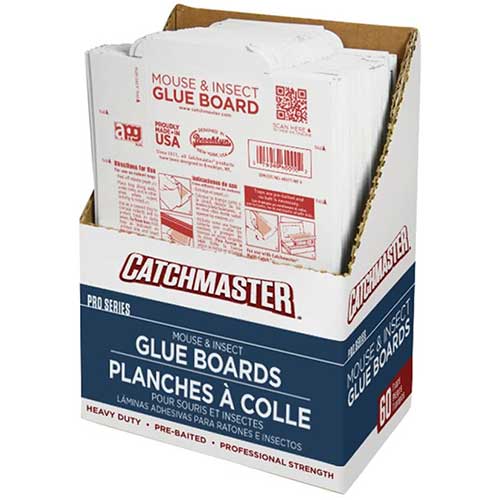 Catchmaster 60M Rat Glue Board