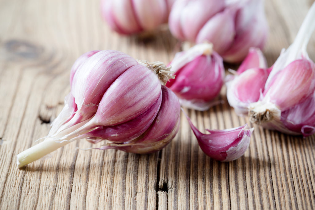 Head of garlic