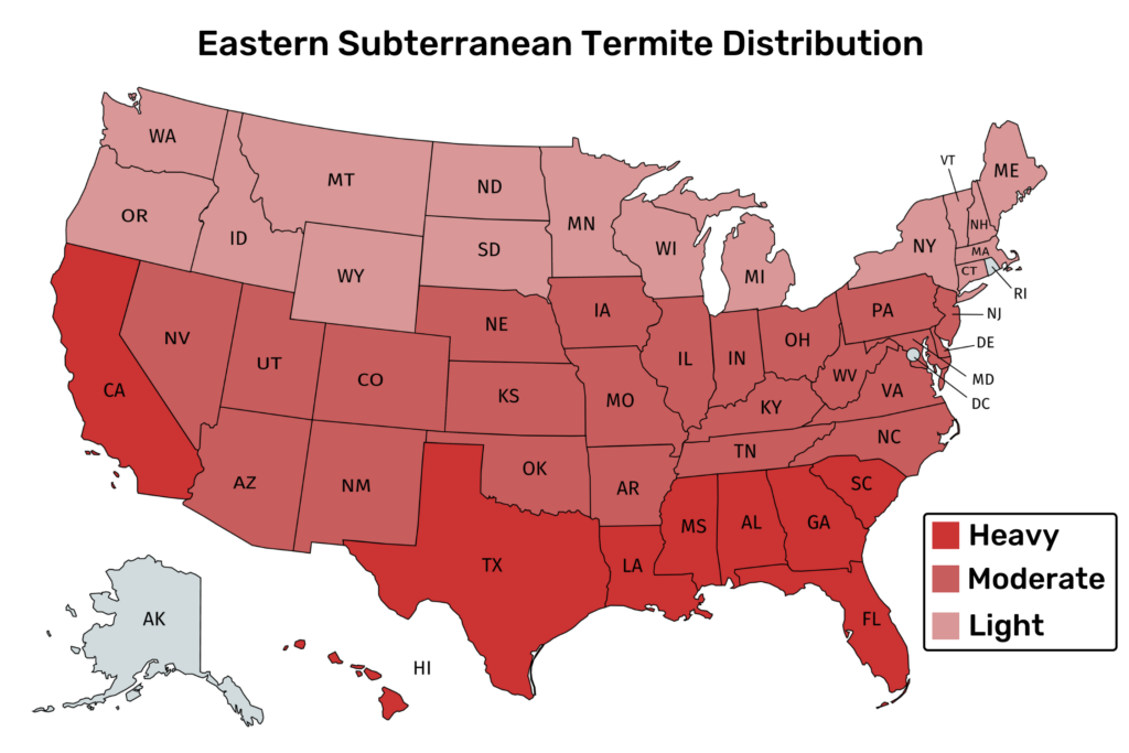 Eastern Subterranean Termite Distribution