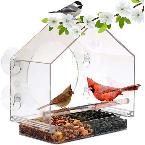 Nature Anywhere Squirrel Proof Bird Feeder with Sliding Food Tray