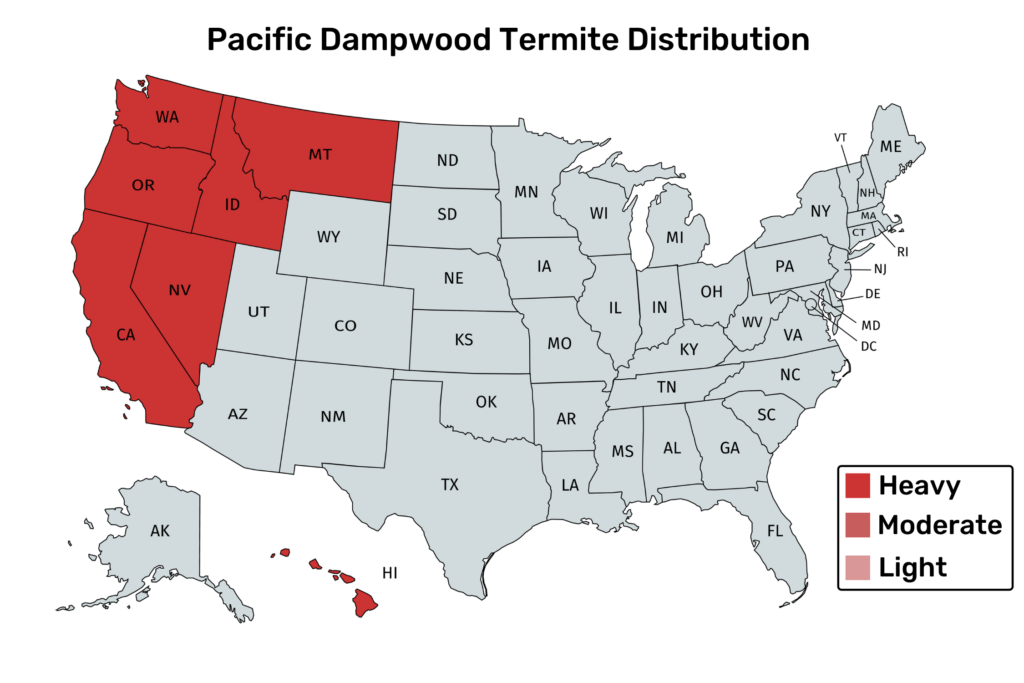 Pacific Dampwood Termite Distribution