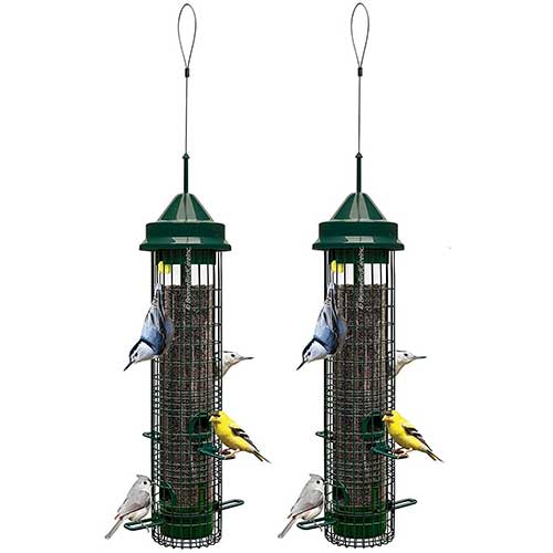 Squirrel Buster Classic Bird Feeder