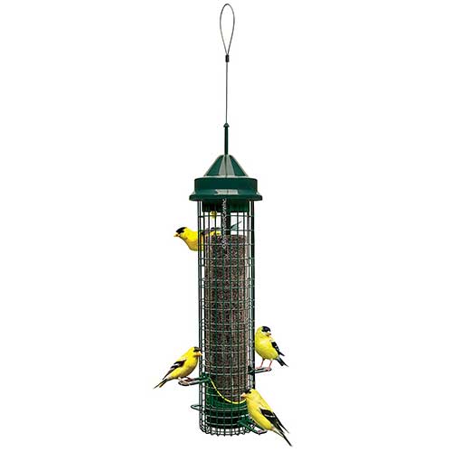 Squirrel Buster Finch Squirrel Proof Metal Bird Feeder