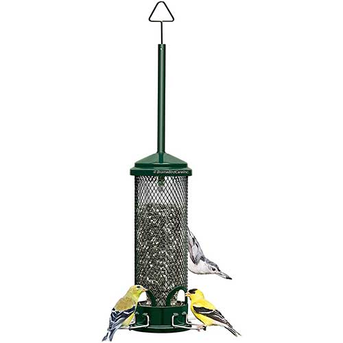 Squirrel Buster Mini Squirrel Proof Bird Feeder