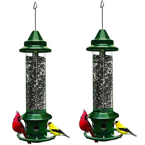 Squirrel Buster Plus bird feeder