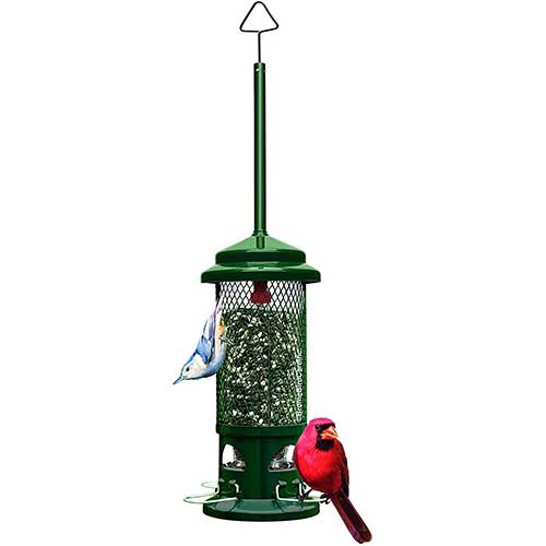 Squirrel Buster Standard Bird Feeder