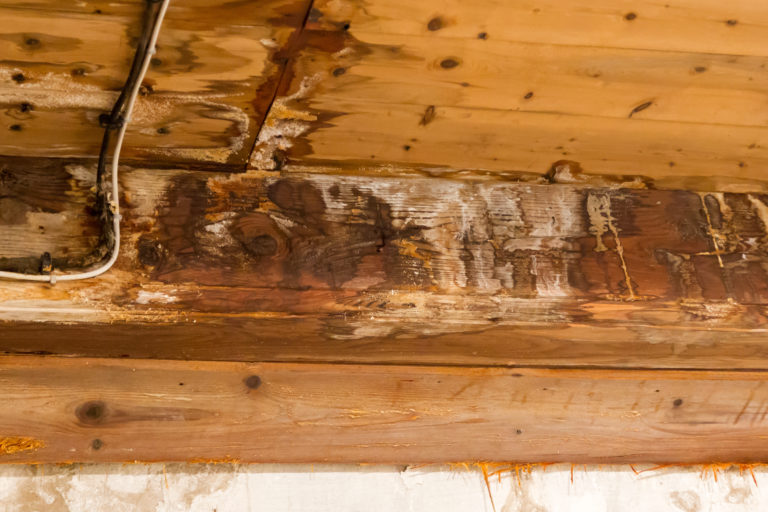 Water damaged ceiling and wall