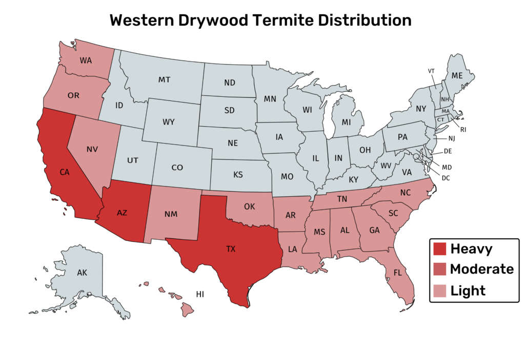 Western Drywood Termite Distribution