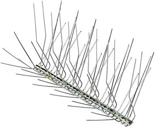 bird coil spikes