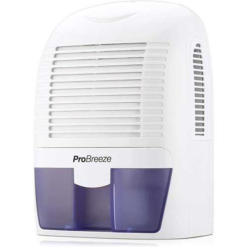 dehumidifier to reduce bugs and centipeds