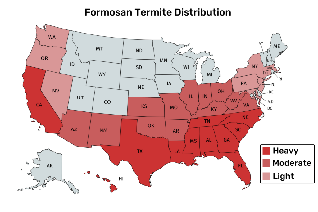 formosan Subterranean Termite Distribution