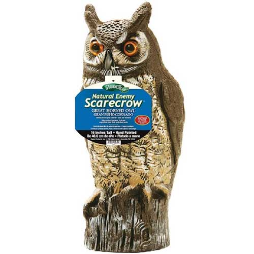 natural enemy scarecrow owl bird deterrent