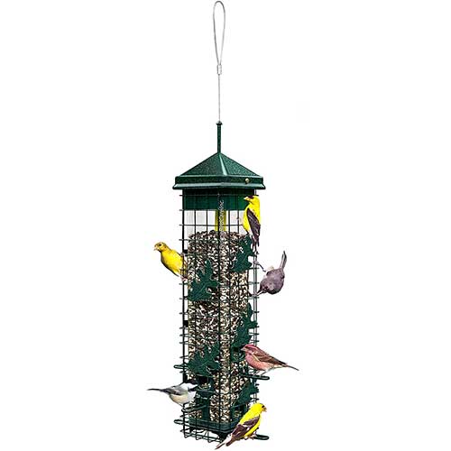 squirrel solutions squirrel proof bird feeder