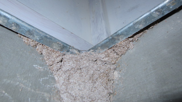termite cement