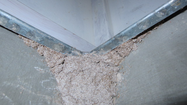 termite cement