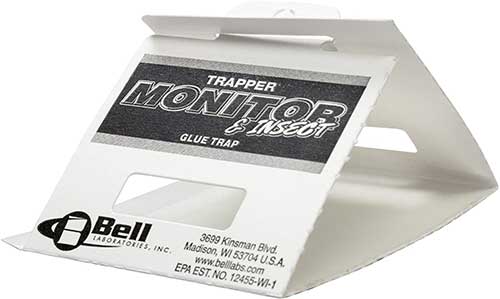 traper monitor and insect clue trap for centipeds