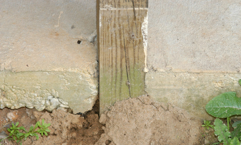 wood to soil contact wood