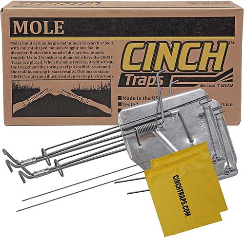DSQSTMR Mole Traps That Work Gopher Spring Best Ground Squirrel Easy 6 inches *3.2 inches *3.2 inches Silver 