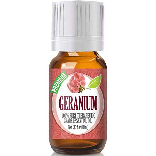 geranium oil spider killer