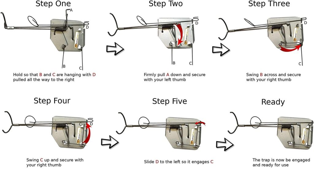 lasso trap instructions