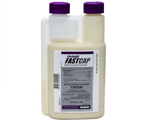 onslaught fastcap spider insecticide