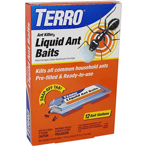 terro liquid ant bait ant killer