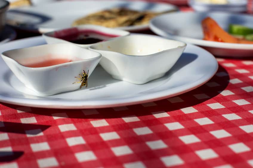 food on table with wasp