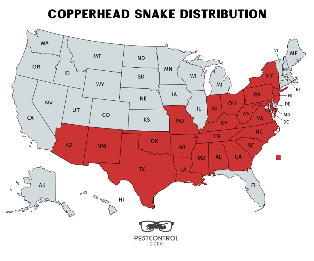 Copperhead Snake Distribution