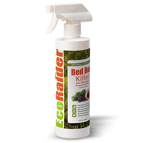 ecoraider bed bug killer spray