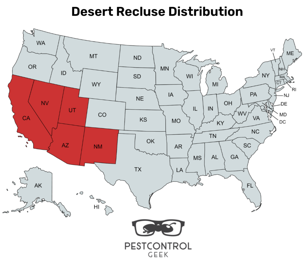 Desert Recluse Spider Distribution Map